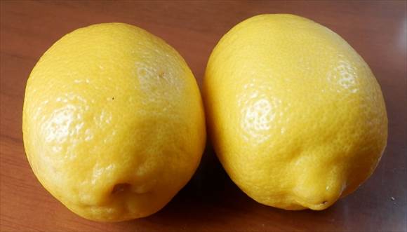 レモンの画像